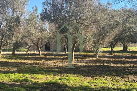 Ruinere i Brindisi, Brindisi, Brindisi - € 68.000 | Ref: Casolare Bern - foto 12